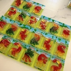 コストコ 恐竜グミ（値下げしました！）お話中