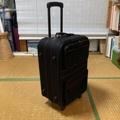 キャリーバック