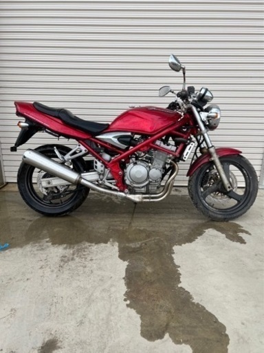 ススギ　バンディット（0701）