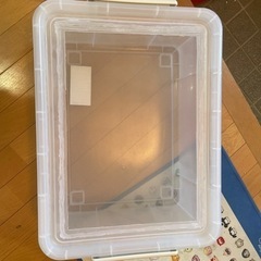デュビア飼育ケース