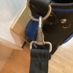 ゴルフバッグの画像