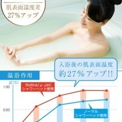 【最終値下げ】【定価 13,200円】ボリーナ シャワーヘッド　アリアミスト の画像