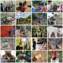 『森に還り、自分を"創る"』 狩猟体験【Into the Wild】参加者募集! 根源的な気づきと発見の自然体験リトリート ~すべての"いのち"が生まれ、還る場所へ~ お一人様大歓迎！ - いすみ市