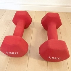 ダンベル5kg×2個セット