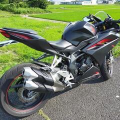 CBR250RR(MC５１)初期型 【平成２９年新車購入】の画像