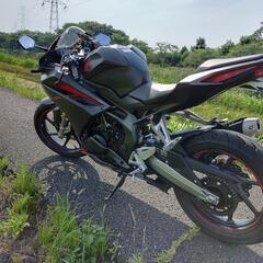 CBR250RR(MC５１)初期型 【平成２９年新車購入】の画像