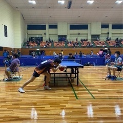 卓球の個人練習相手をします✨🏓の画像