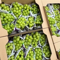 シャインマスカット3キロ