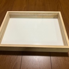 [売約済み]標本ケース　自由研究に！