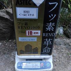アステックペイント　フッ素革命②