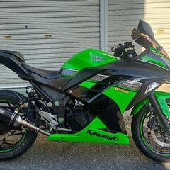 kawasaki ニンジャ250 スペシャルエディション　440...