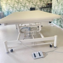 高田ベット　電動ボバースキャリー　マッサージベット
