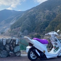 ホンダ AF27 スーパーディオの画像