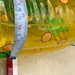 ベビーバスか小さめのプールの画像