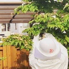 「安全と環境に配慮した蜂の巣駆除サービス」