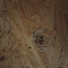 ♪木製ゲージ　90cm♪の画像