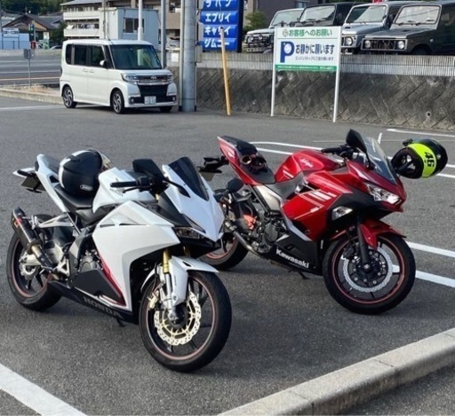 cbr250rr カラーホワイト