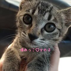 慣れっこ♡女の子
