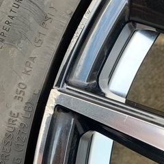 レオニスTE 18インチ　の画像