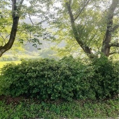 豊岡で友達募集