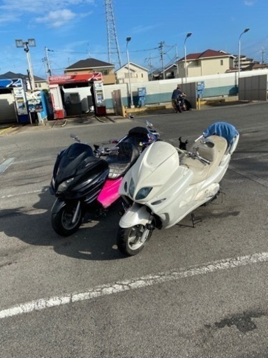 黒のマジェスティー250