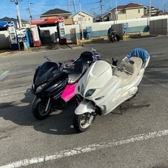 黒のマジェスティー250