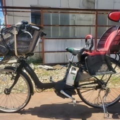 セブンセンスTRMid Stream Mss1062TR