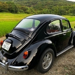 空冷ビートル　車検付　タイプ1  メキシコビートル の画像
