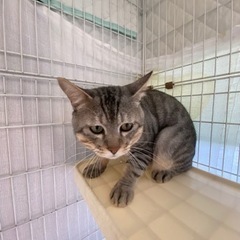 ずっとのおうち探し⑥