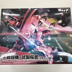 HG サクラ大戦 霊子戦闘機・試製桜武(天宮さくら機) 1/24...