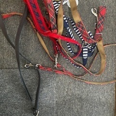 中、大型犬用品の画像