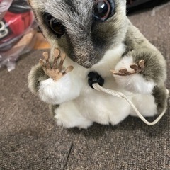 中、大型犬用品の画像