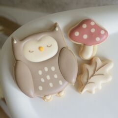 【積水ハウス】♪アイシングクッキー作り♪ワークショップ開催