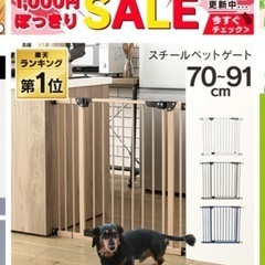 犬、ベビー、ゲージ、