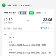 ジェットスター航空券（8/6(日)那覇→成田）