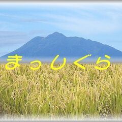 令和４年産天日干し◇自然乾燥 減農薬まっしぐら5㎏から