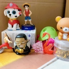 マルバアサガオとマリーゴルドの種と空き缶の画像
