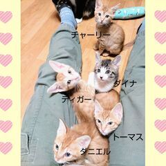 ダニエルくん　約３ヶ月