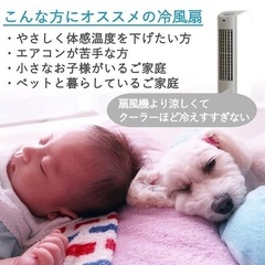 山善　冷風扇 扇風機 移動　空調　押しボタンスイッチ 風量3段階調節 水タンク着脱式 キャスター付 ホワイトグレー FCT-G402(WH) 空調　空気入れ替え　自然　氷　水　赤ちゃん　ペット　犬　猫　の画像