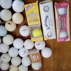 無償譲渡　ゴルフセット　ボール、ティーの画像