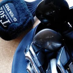 無償譲渡　ゴルフセット　ボール、ティーの画像