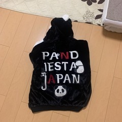 パンディエスタです