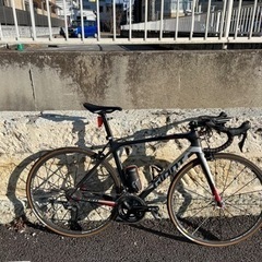 GIANT TCR ADVANCED2 2019