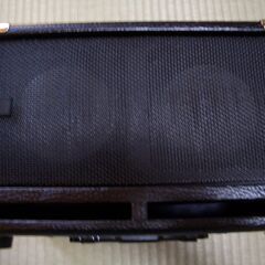 フィル・ジョーンズ ベースアンプ PJB BASS CUB BG-100の画像