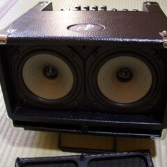 フィル・ジョーンズ ベースアンプ PJB BASS CUB BG-100の画像