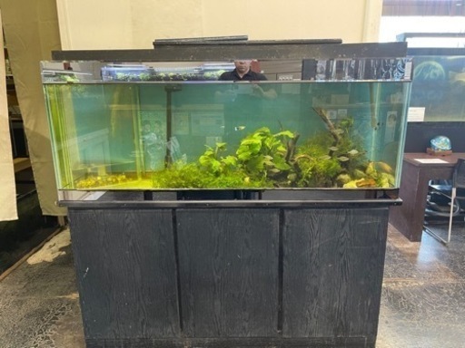 150センチ　ガラス水槽　台　濾過そう(90センチ水槽)上部濾過