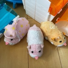 ズーズーペットの画像
