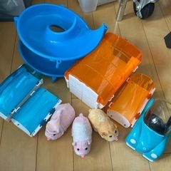 ズーズーペットの画像