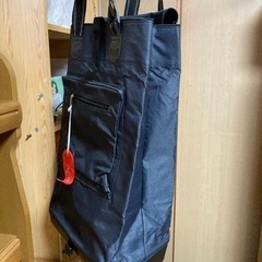 (決まりました)旅行　大容量バック　修学旅行　
