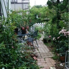 靴裏の泥で玄関汚れませんか？石のタイル置き石で雑草や靴の汚れを防...